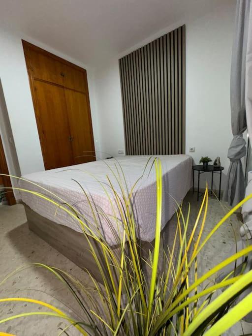 Apartamento Del Sur 圣玛丽亚港 外观 照片